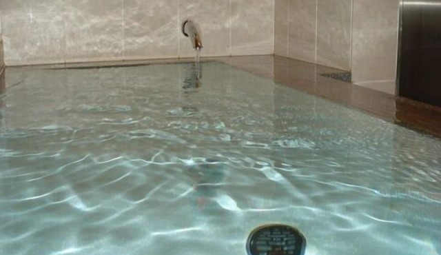 Hotel Hitachi Plaza