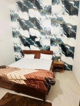 Hotel Indian Lemon Tree