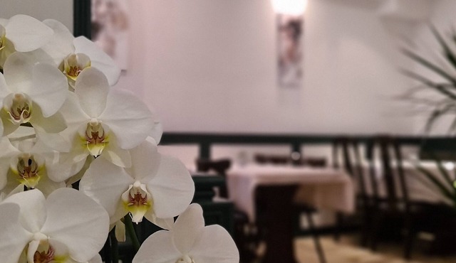 Hotel Lamm
