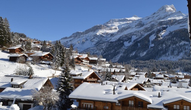 Hotel Le Chamois