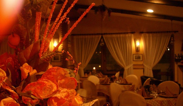 Hotel Lento
