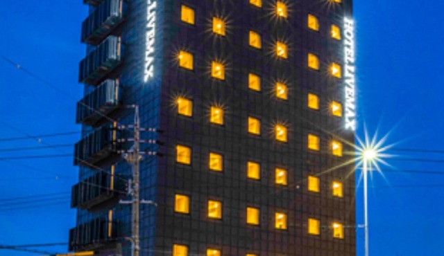 HOTEL LiVEMAX OKAZAKI