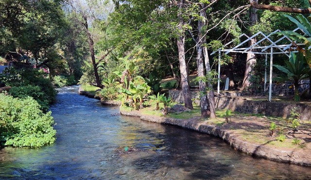Hotel Los Cedros