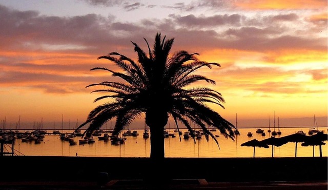 Hotel Mar Menor