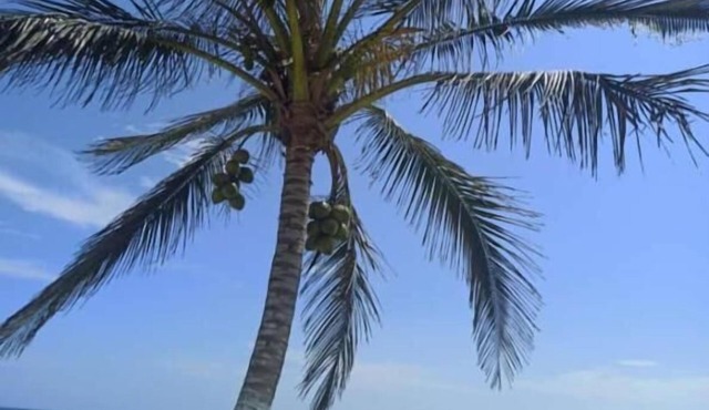Hotel Mariam