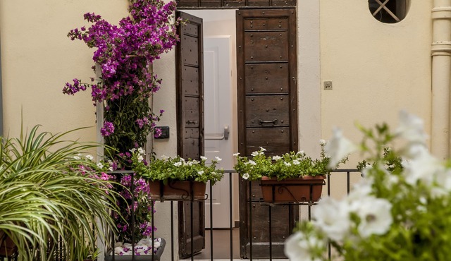 Hotel Navona