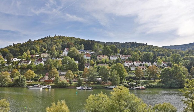 Hotel Neckarlux