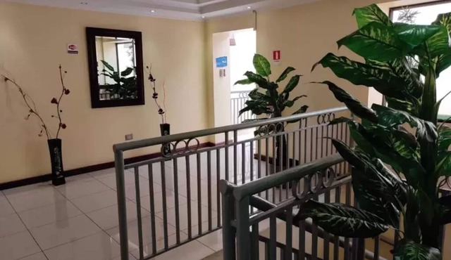 Hotel Newen