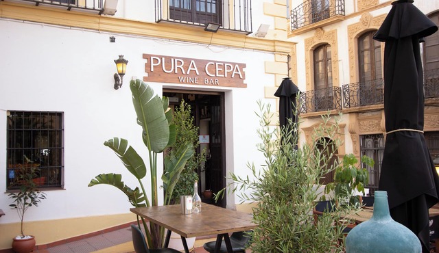 Hotel Palacio de Hemingway