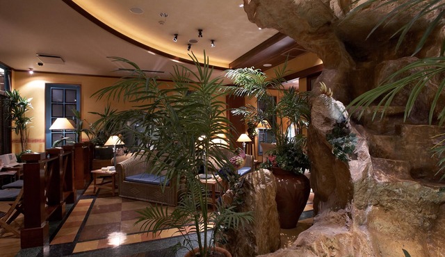 Hotel Palms - Adults Only