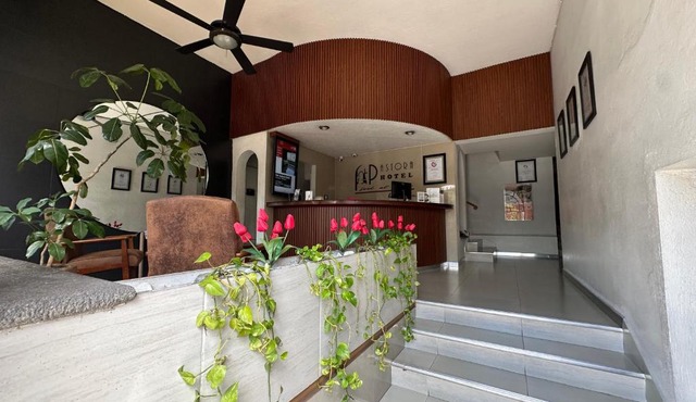 Hotel Pastora