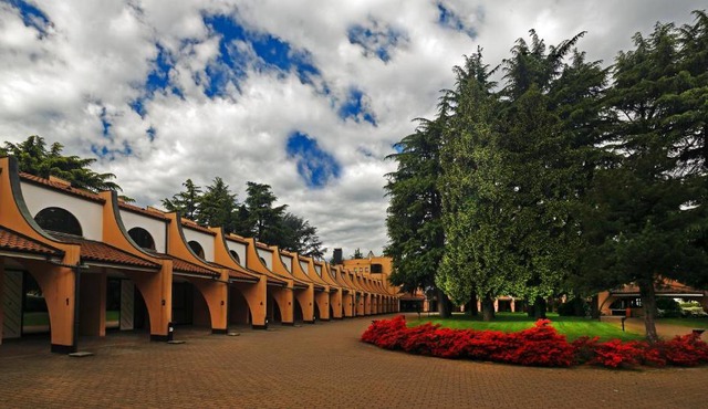 Hotel Pineta