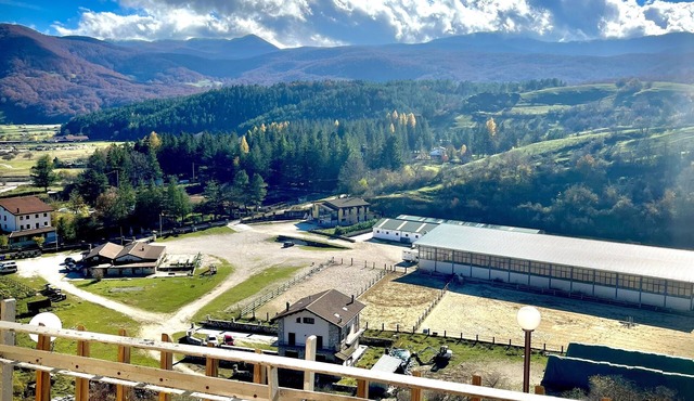 Hotel Pinguino
