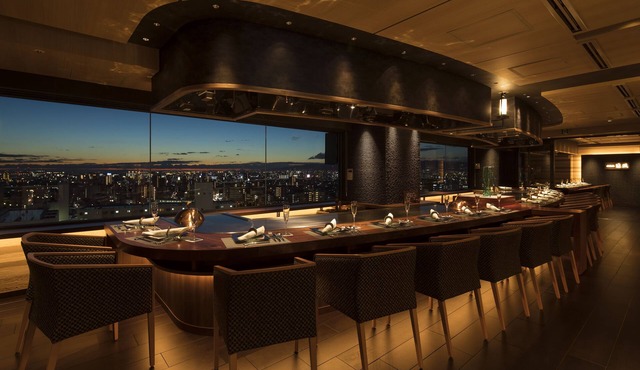 Hotel Plaza Osaka