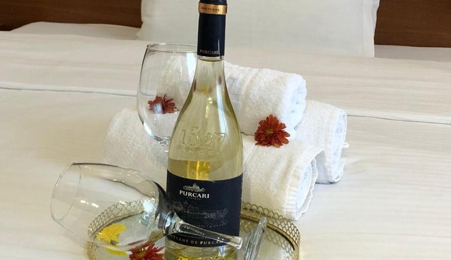 Hotel Premier Botosani