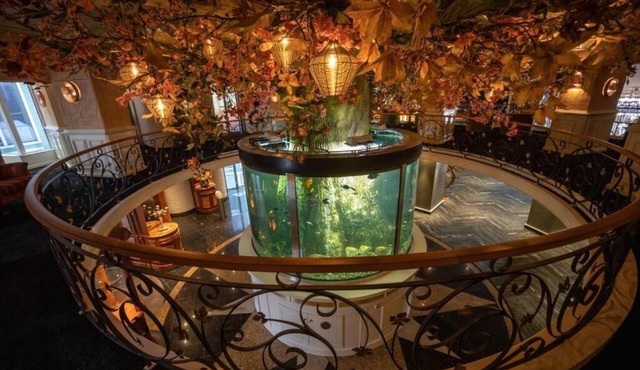 Hotel & Restaurant Infinity