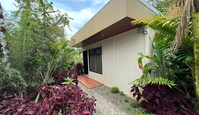 Hotel Rio Celeste to Know