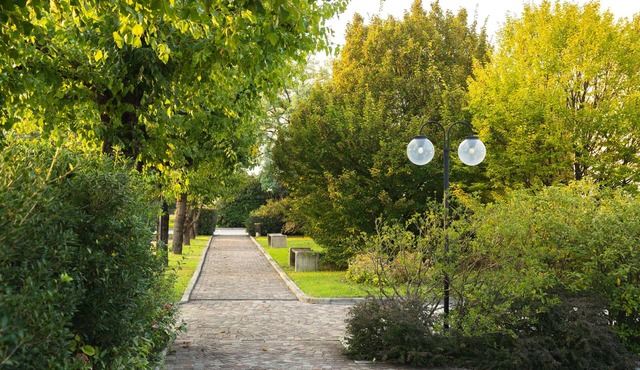 Hotel Ristorante Primavera