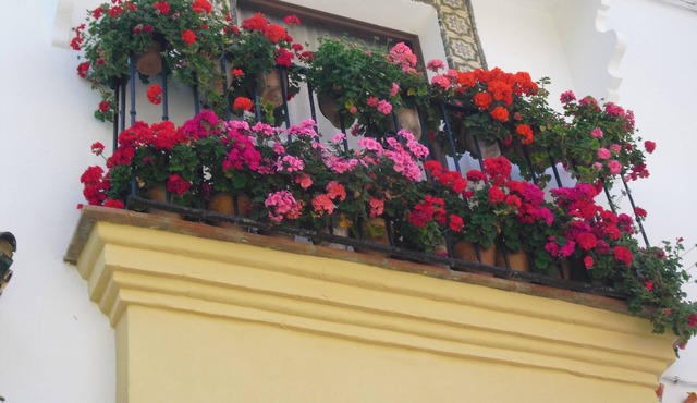 Hotel Ronda