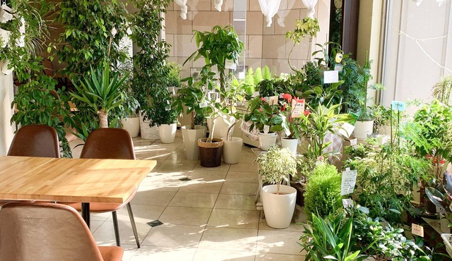 Hotel Royal Kitami