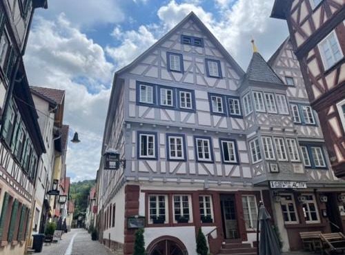 Hotel Schwanen