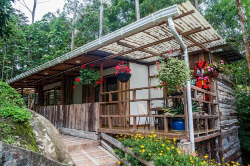 Hotel Selva Verde