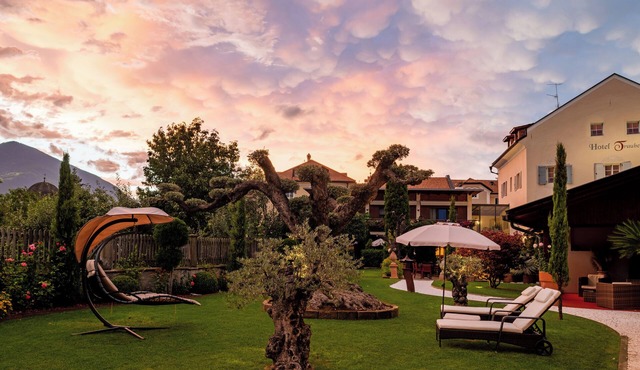 Hotel Traube