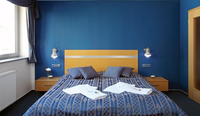 Hotel U Karla