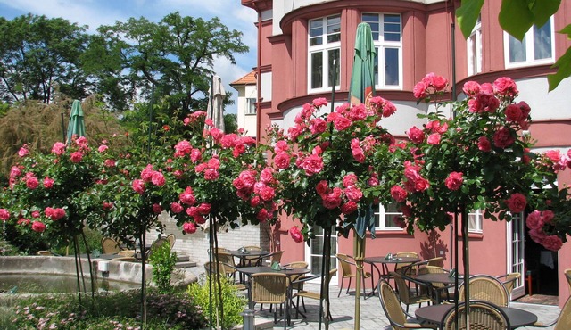 Hotel Villa