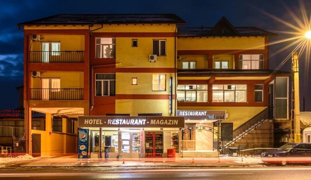 Hotel VULTURUL Pitesti