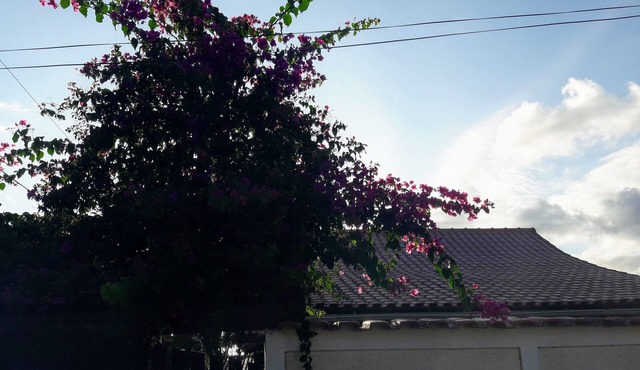 House 2 blocks from Jaconé beach, on a prestigious street, 5 minutes from the main shops.