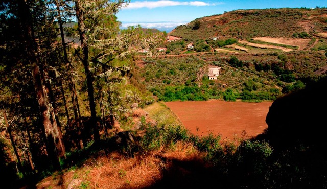 House Altos de Gáldar