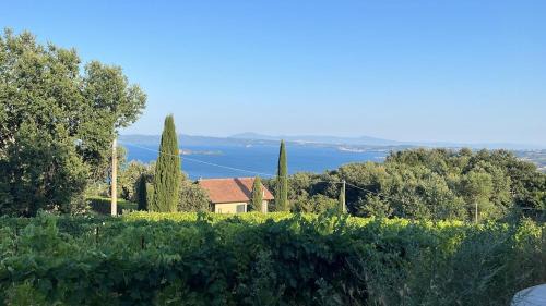 House Among Regenerative Vineyards Near Bolsena