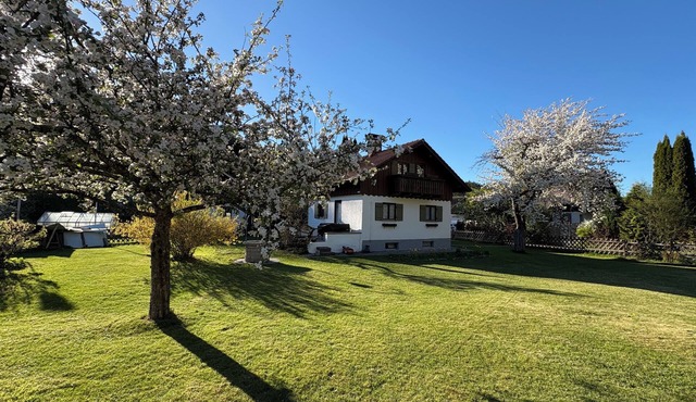 House Bergliebe