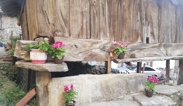 House in Asturias in a mountain village