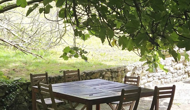 House in Galizano with garden