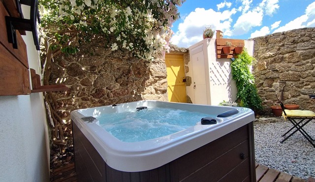 House in granite stone with a century old in center Portugal. Open Space.