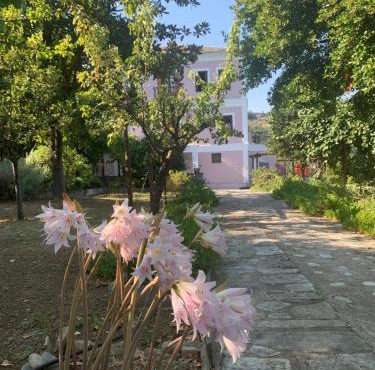 House in Propan