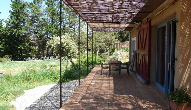 House surrounded by nature, with swimming pool