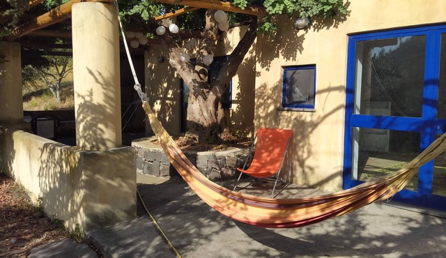 House under a carob tree, among the vineyards in Salina