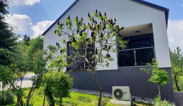 House Under The Maple Tree