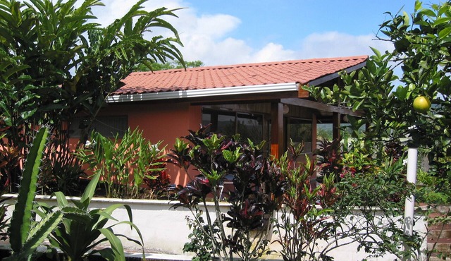 House with fabulous gardens Manny fruit trees patio views of the mountains