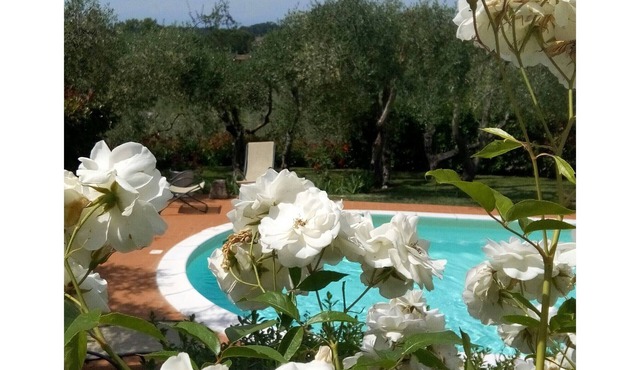 House with garden