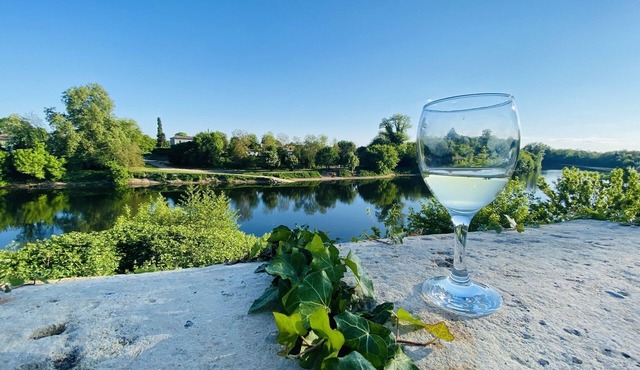 House with private pool and jacuzzi, panoramic river view
