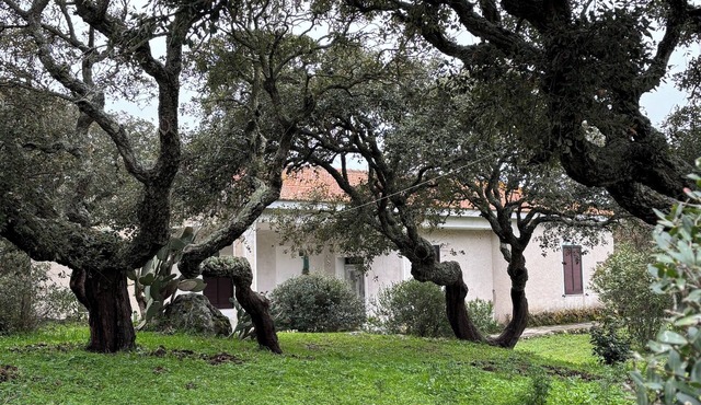 HouseB2 surrounded by nature and its animals