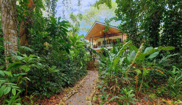 Howler Beach Front Villa Pure Luxury located just steps away from the beach!