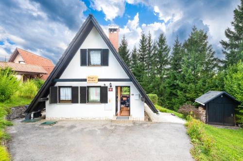 Hugo's House