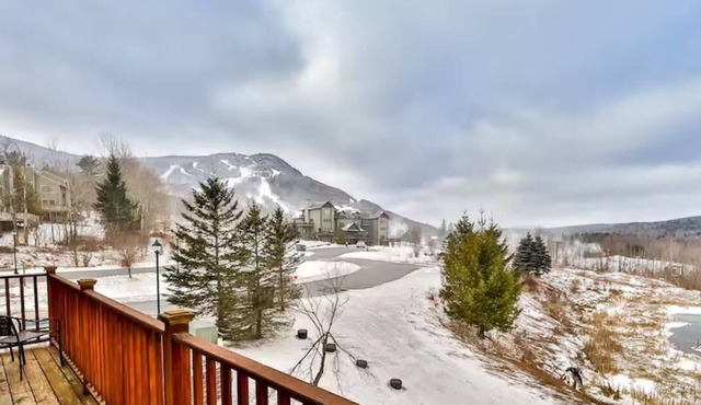HUNTER HAPPY TRAILS -SkiOnSkiOff- Mtn Views -SAUNA- Short walk to the Slopes
