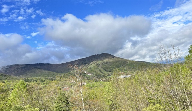 Hunter Mountain View Townhome - 3mins to Ski Slopes