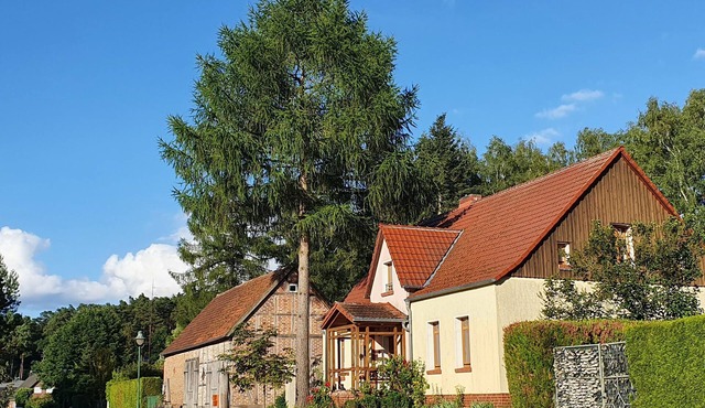 Hunter's apartment in the Großmenow forester's lodge